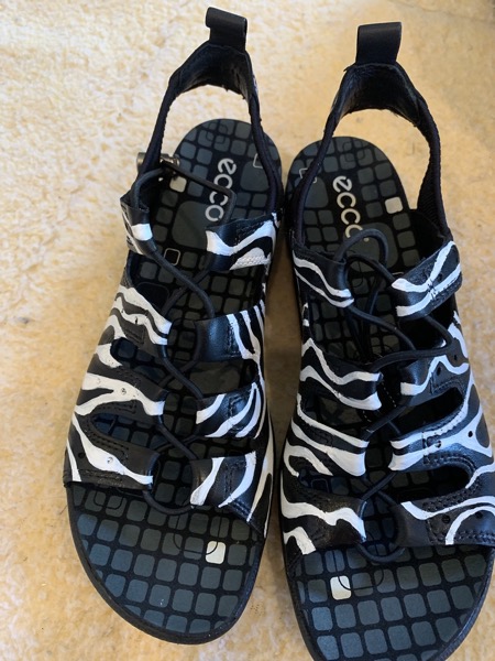 Black and White Sandals