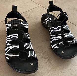 Zebra Sandal.2JPG