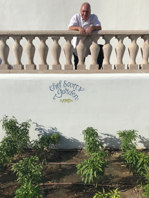 Signage, The Citrus Club, client